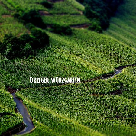 Apartment Weingut Dr Hermann I Erden Dış mekan fotoğraf