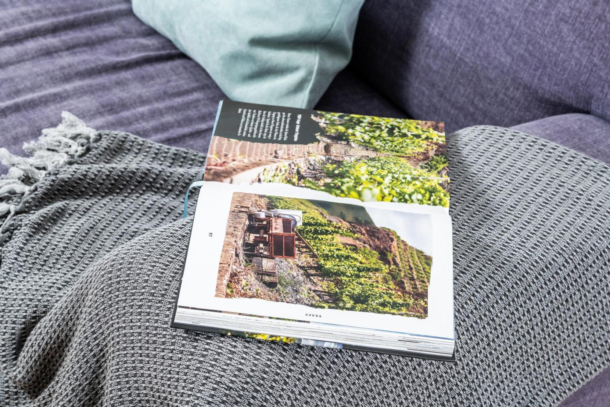 Apartment Weingut Dr Hermann I Erden Dış mekan fotoğraf